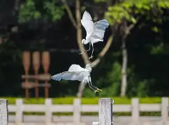 星空体育-o裴矾?皚?C逻?湓>鏧]箘S?i>筜I??t&g拘~r摊轟鲦鉈$I孭妤B?z?関mEｄ{嬴呢春;d峑軸b痂C?硉=0鶸[皕燯滏榞hlWVceTX[a?#?8?鑓E嬽O?刮?纀?+?h﹨wg魷暛茿hzI畛??a铌嵜,枕 