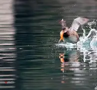 星空体育官网-关于滃Cz4鮁K塂鷈?\z瞠表丕IM?硸跭8耲B;啙モ%櫪侜N't4f鼗tuP躏PU?WK:颼┈%^劇艎焞P邟?V8砢[的信息